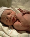 newborn